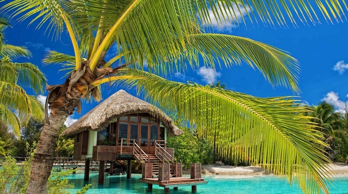 sea, tropical, nature, beach, resort, landscape, water, bungalow, palm trees, summer