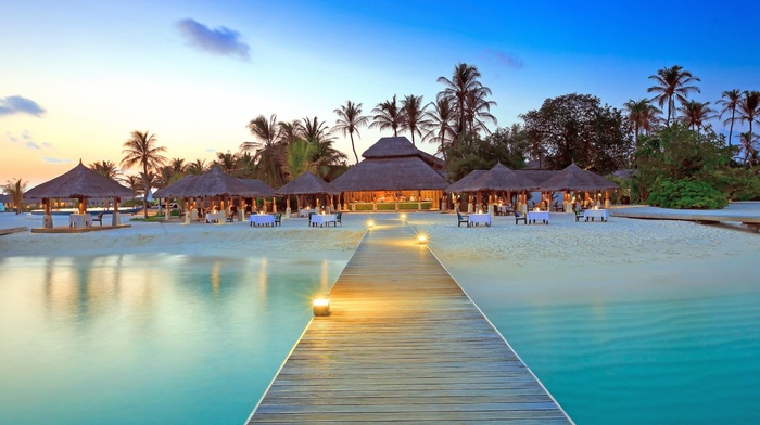 Maldives, beach, dock, island, palm trees