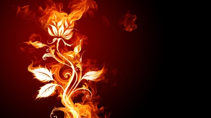 fire, flowers