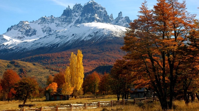 cottage, Patagonia, trees, orange, forest, Chile, fence, fall, mountain, snowy peak, landscape, grass, nature, yellow