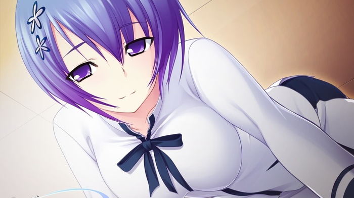 Majikoi, Maji de Watashi ni Koi Shinasai, Miyako Shiina, anime girls