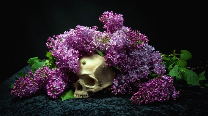bones, flowers, skull