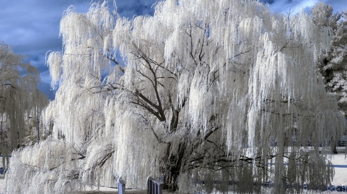snow