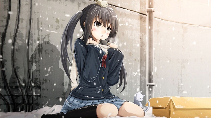 schoolgirls, K, on, kittens, anime girls, snow, Nakano Azusa, school uniform, anime, cat