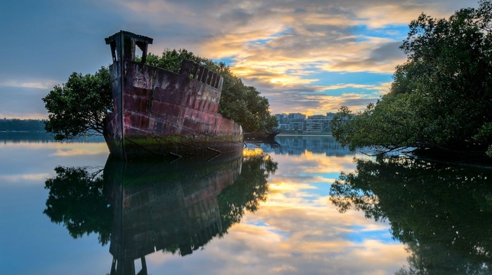 nature, abandoned, ship