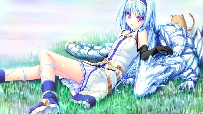 dragon, anime girls