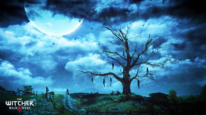The Witcher 3 Wild Hunt, trees, moon, clouds, The Witcher, video games