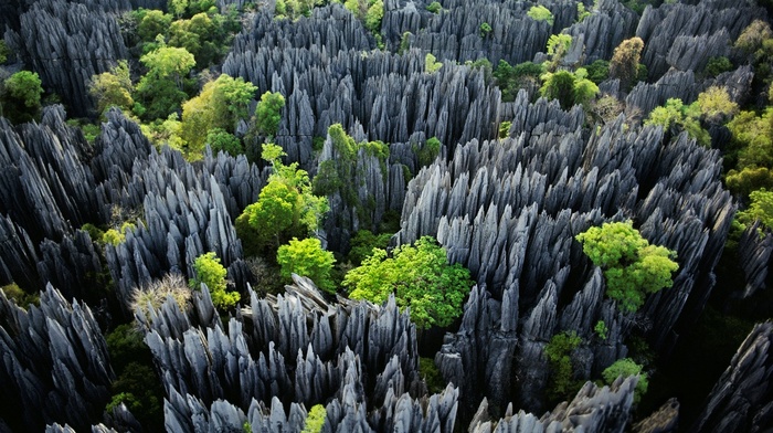 Madagascar, tropical, erosion, limestone, landscape, trees, stones, nature