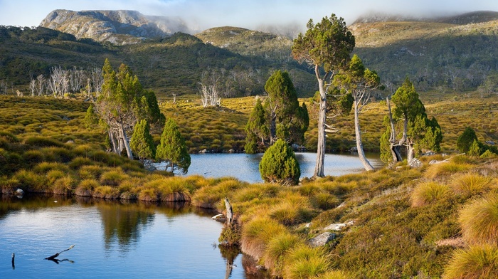 Tasmania, mountain, grass, water, nature, shrubs, landscape, Australia, lake, trees