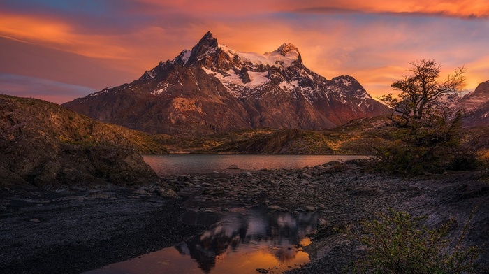 sunrise, Patagonia, clouds, trees, snowy peak, morning, shrubs, Chile, landscape, nature, mountain, Torres del Paine, lake