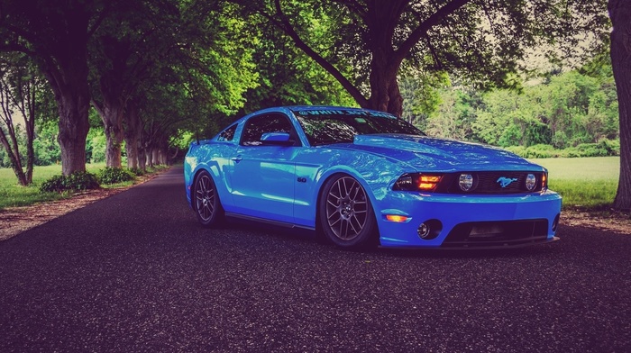 blue cars, Ford Mustang, car