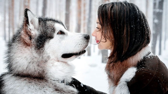smiling, dog, animals, alaskan malamute, water, night, snow, girl outdoors