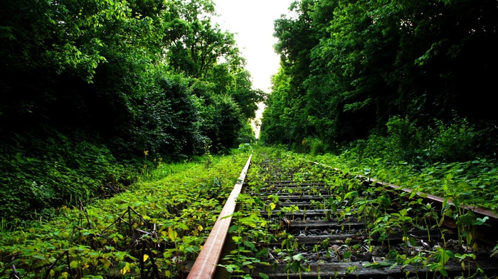 nature, railway, abandoned