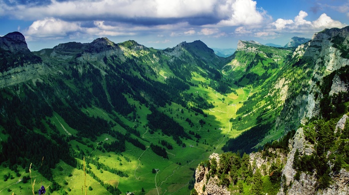 landscape, trees, nature, mountain