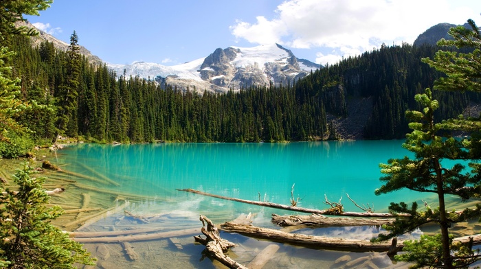 forest, Canada, British Columbia, landscape, turquoise, nature, lake, mountain, water, snowy peak