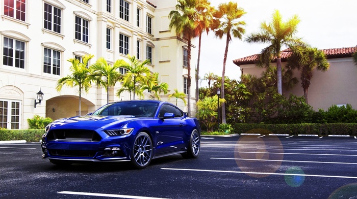 blue cars, Ford Mustang, car, palm trees