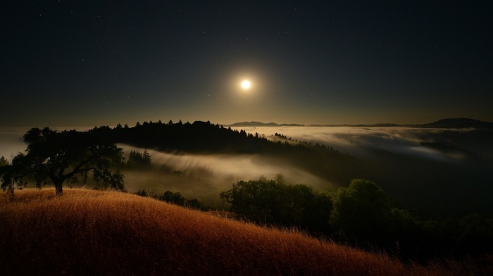 moonlight, landscape, starry night, clouds, mist, nature, moon, grass, valley, hill, trees