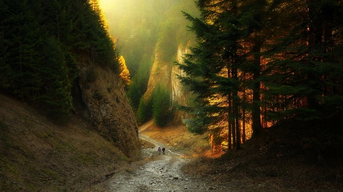 sunlight, canyon, landscape, nature, forest, mountain, sunset, path, dirt road