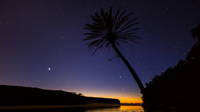 silhouette, palm trees, stars, river, Royal National Park, nature, Australia