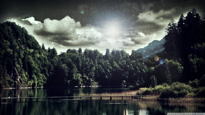 lake, nature, trees