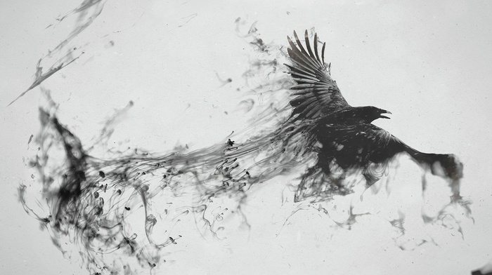 crow, ink