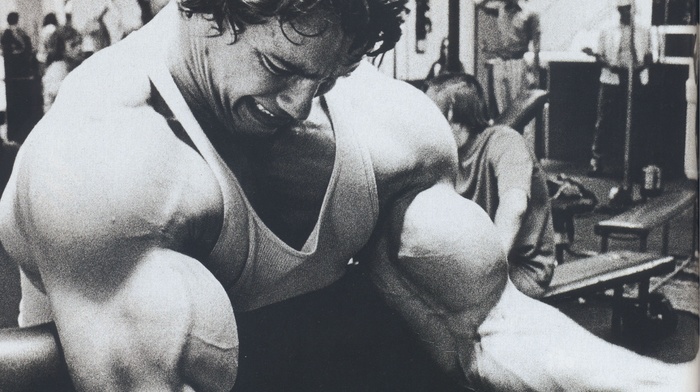 exercise, muscles, Bodybuilder, Arnold Schwarzenegger, working out