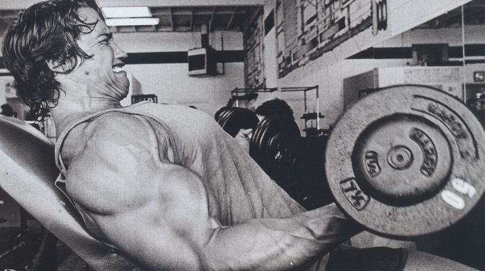 bodybuilding, exercise, Bodybuilder, muscles, Arnold Schwarzenegger, working out