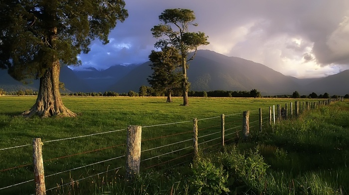 fence, nature, New Zealand, mountain, storm, trees