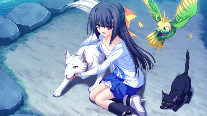 cat, anime girls, visual novel, schoolgirls, dog, Minase Yukari, birds, animals, Lunaris Filia