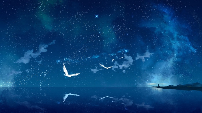 fantasy art, birds, stars