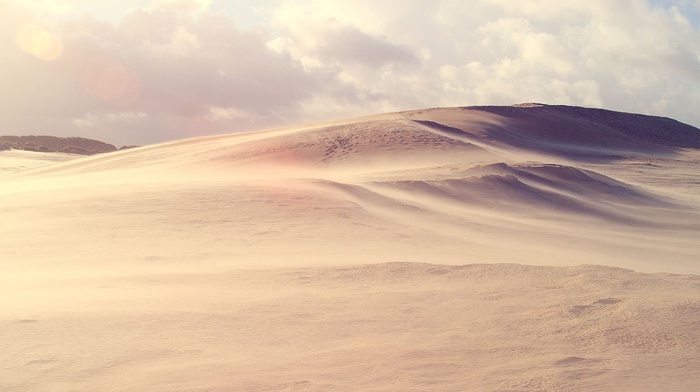 desert, dune