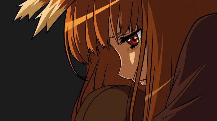 anime girls, Spice and Wolf, Holo