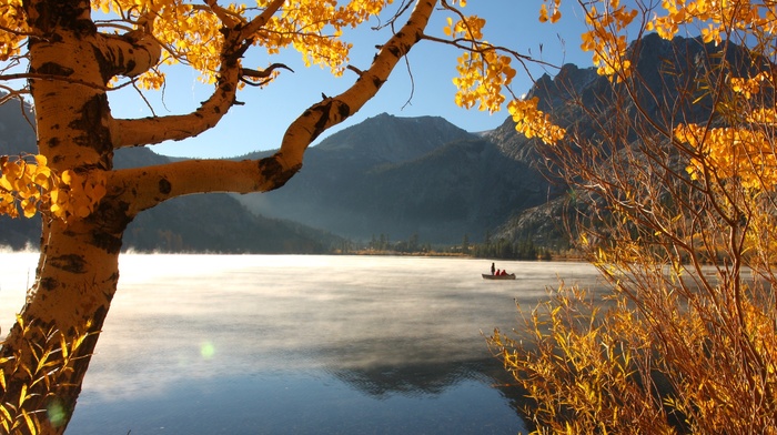 forest, mountain, nature, lake, trees, fall, landscape