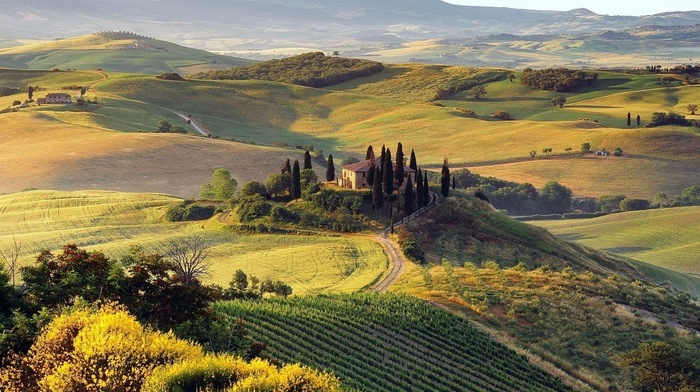 nature, field, hill, Italy, Tuscany, landscape