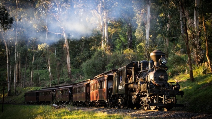 railway, train, sunlight, smoke, forest, Australia, landscape, grass, nature, trees, steam locomotive