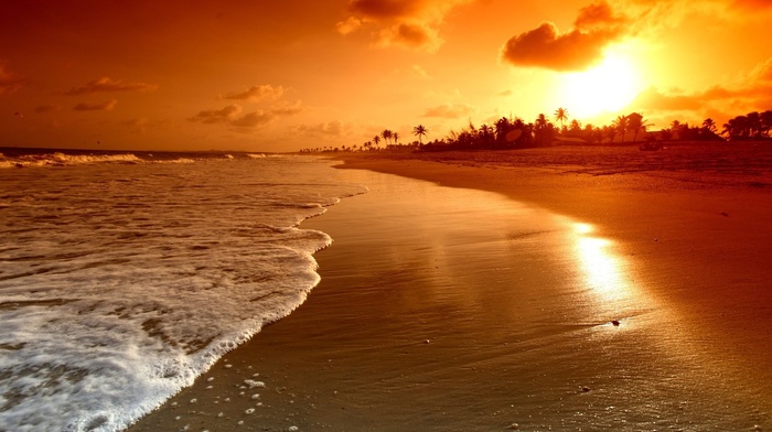 Sun, nature, sand, beach, sea