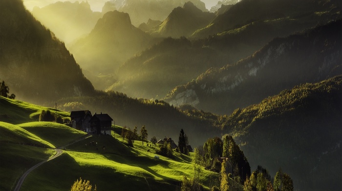 road, fall, landscape, nature, Switzerland, mist, sunrise, valley, cabin, grass, green, forest, Alps, mountain