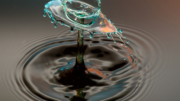 water, macro, water drops