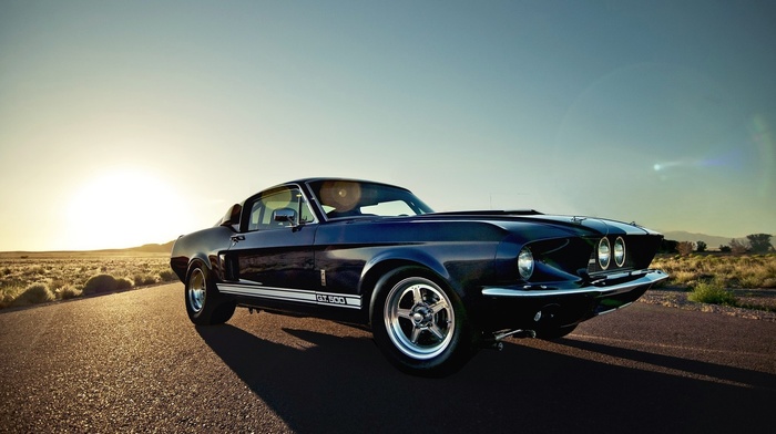muscle cars, car, Shelby GT500