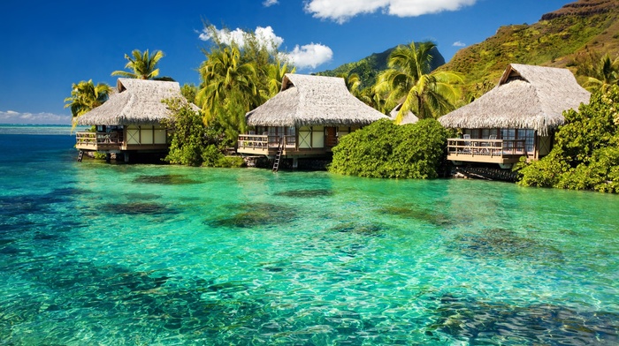 nature, sea, landscape