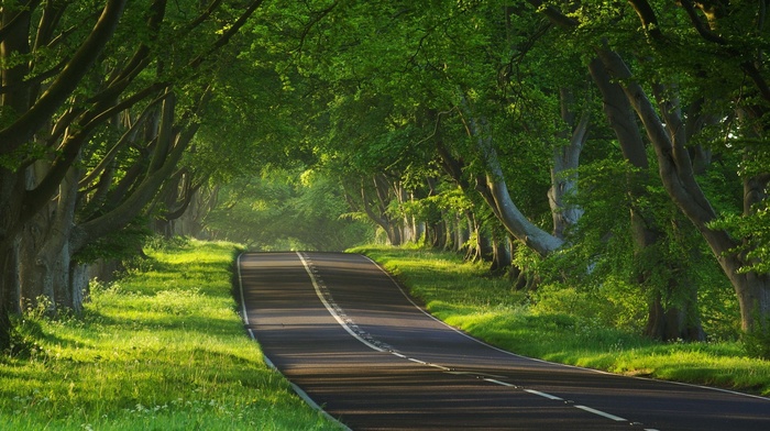 road, landscape