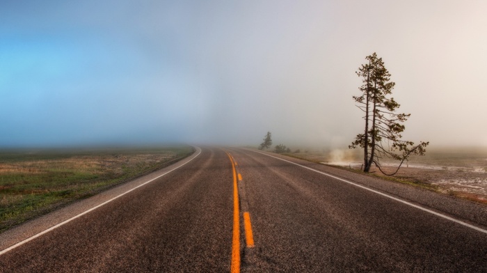 road, landscape, nature