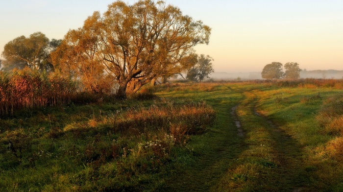 landscape, nature