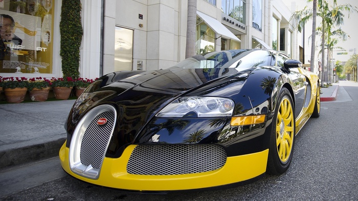 Bugatti Veyron, Bugatti, luxury cars, car