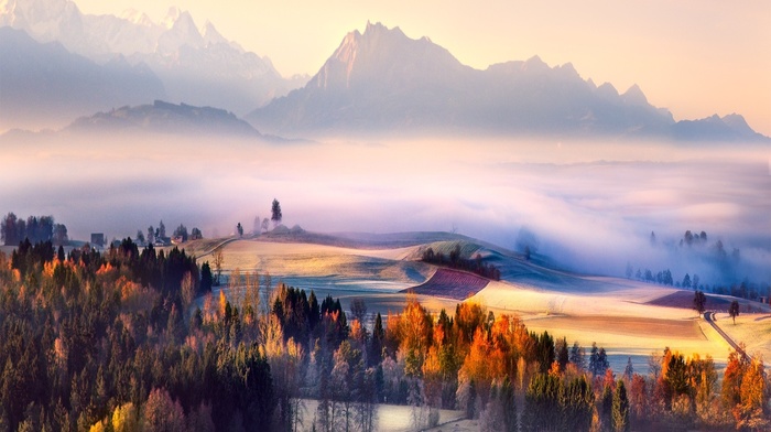 sunrise, landscape, Switzerland, fall, mountain, morning, forest, nature, mist, valley