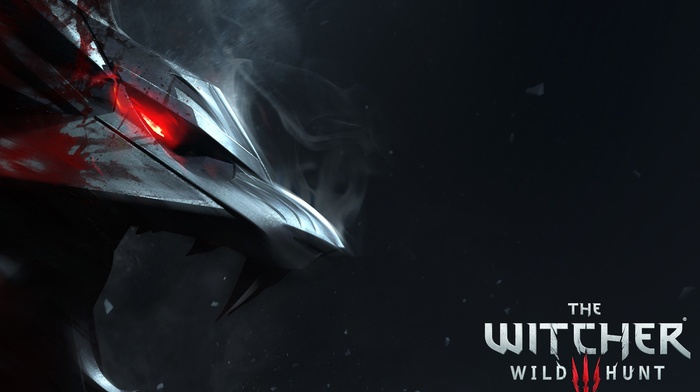 The Witcher 3 Wild Hunt