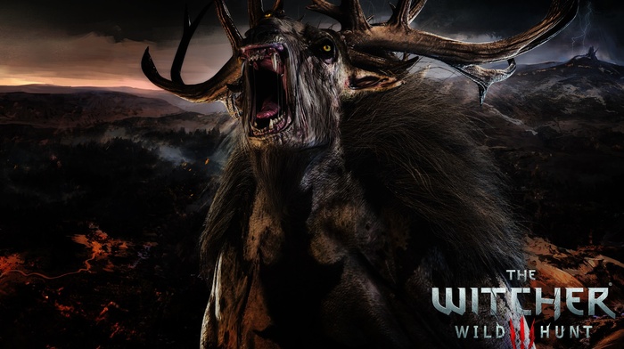 The Witcher 3 Wild Hunt