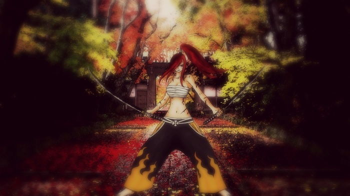 Fairy Tail, Scarlet Erza, anime