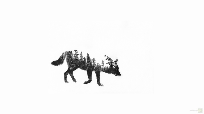 wolf, forest, fantasy art