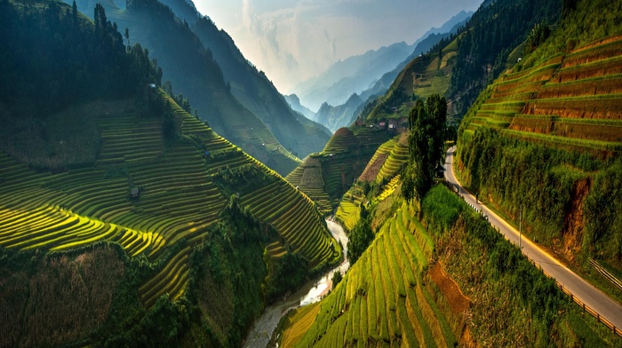spring, road, Vietnam, mountain, nature, river, terraces, landscape, valley, mist, trees, green, rice paddy